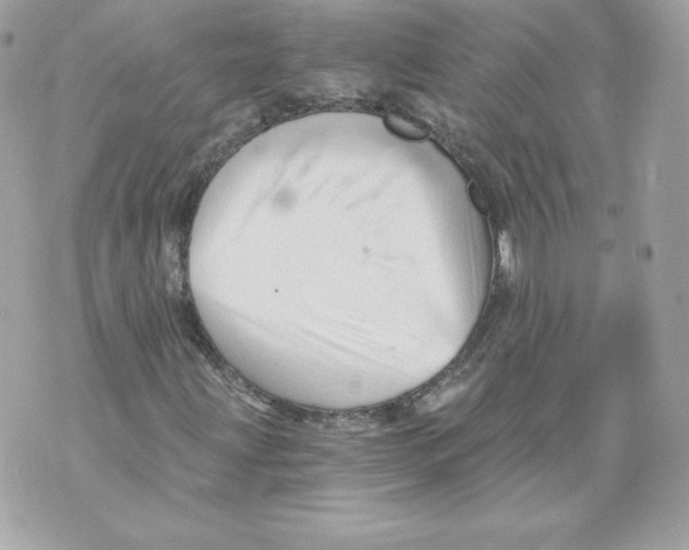 X0000069811203200606161840