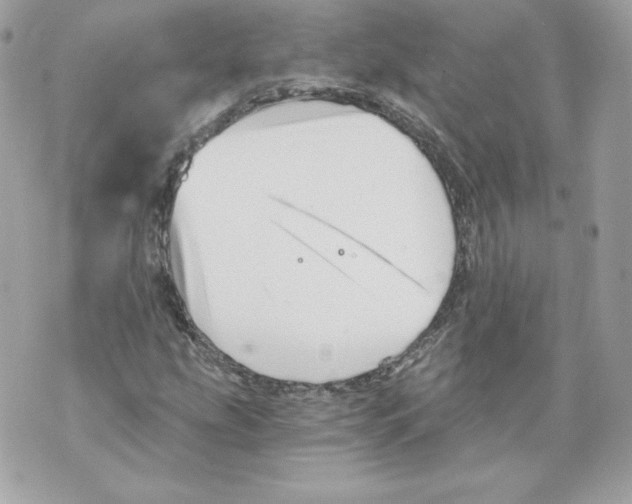 X0000069811207200606161841