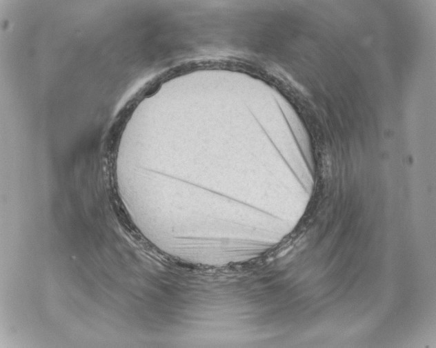 X0000069811208200606161841