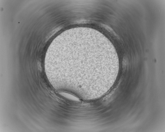 X0000069811209200606161841