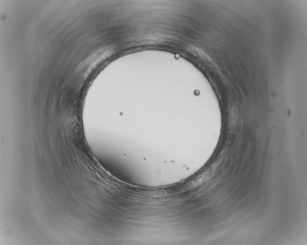 X0000069811210200606161841