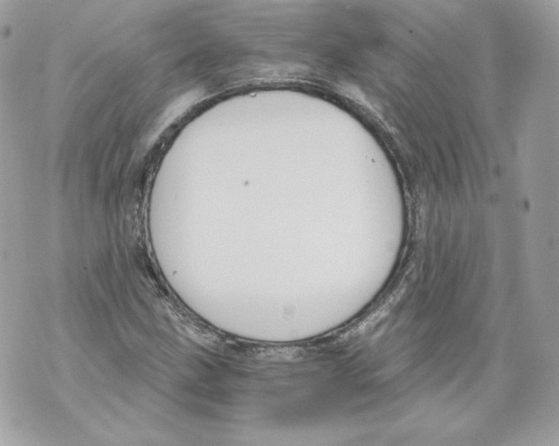 X0000069811211200606161841