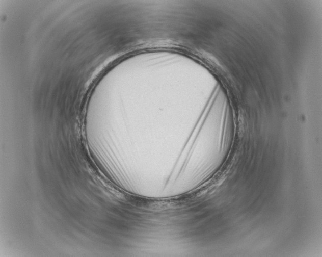 X0000069811212200606161841