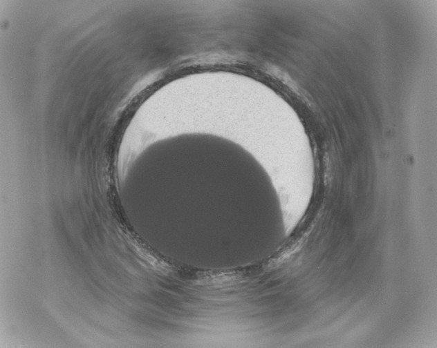 X0000069811213200606161841