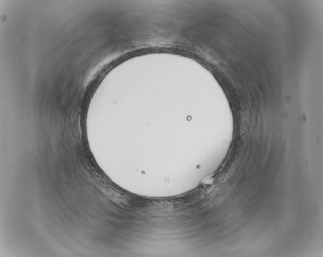 X0000069811214200606161841