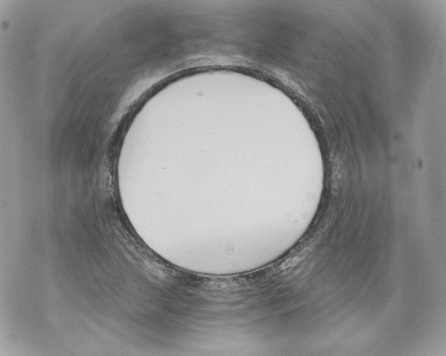 X0000069811215200606161841