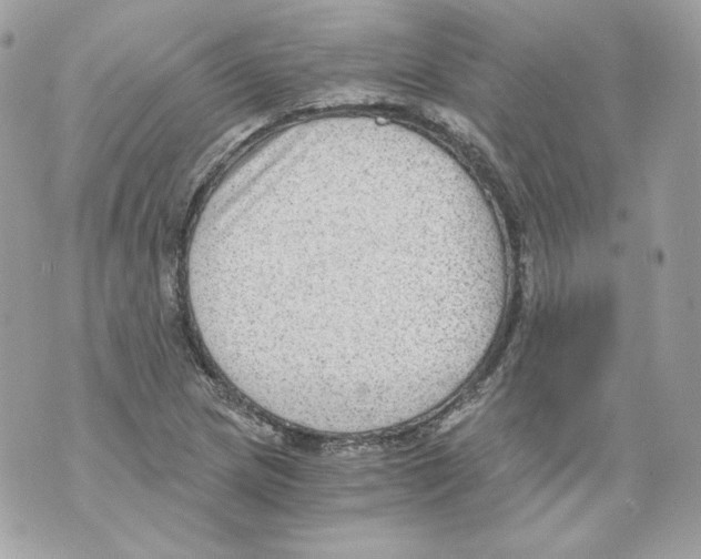 X0000069811217200606161841