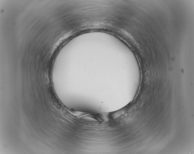 X0000069811218200606161841