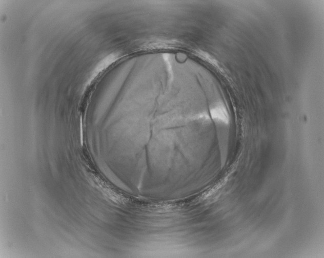 X0000069811219200606161841