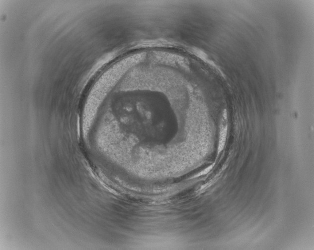 X0000069811221200606161841