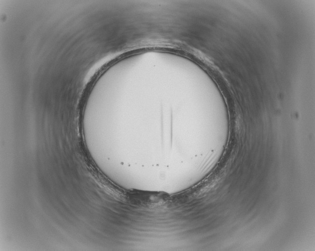 X0000069811222200606161841