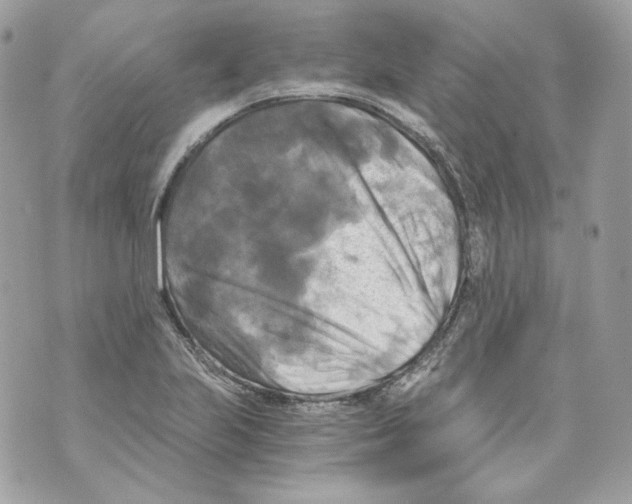 X0000069811223200606161841