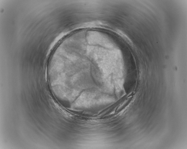 X0000069811224200606161841