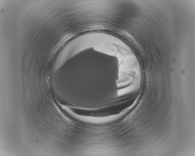 X0000069811225200606161841