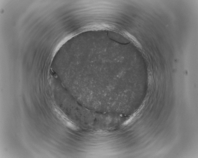 X0000069811226200606161841