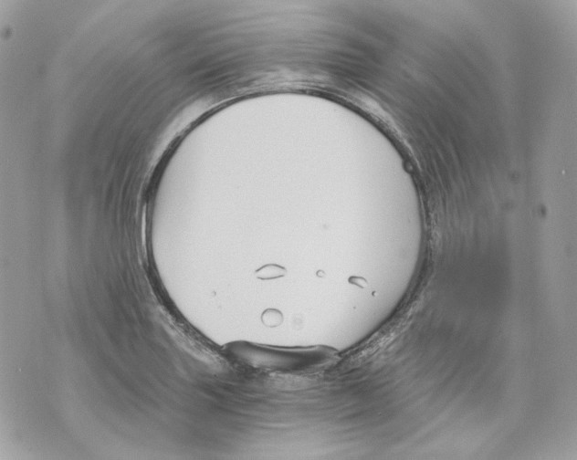 X0000069811227200606161841