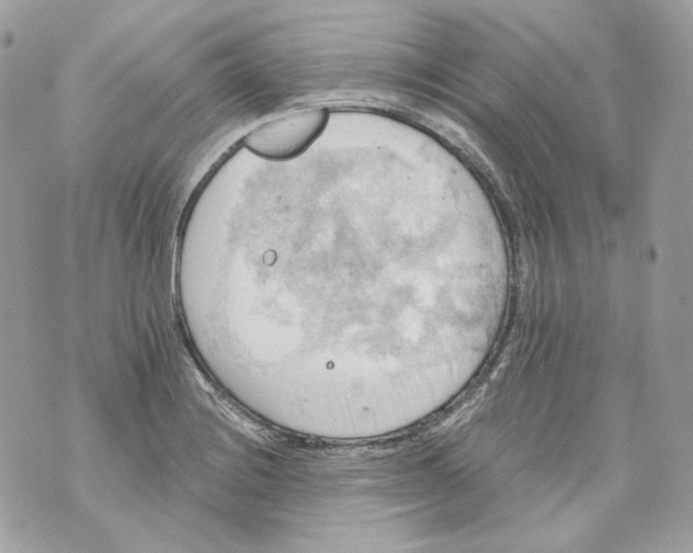 X0000069811228200606161841