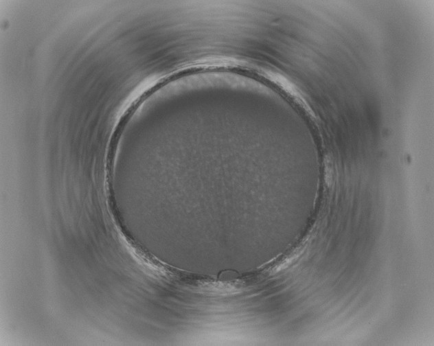 X0000069811229200606161841