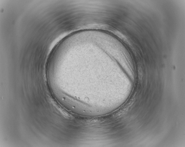 X0000069811230200606161841