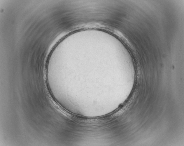 X0000069811232200606161841