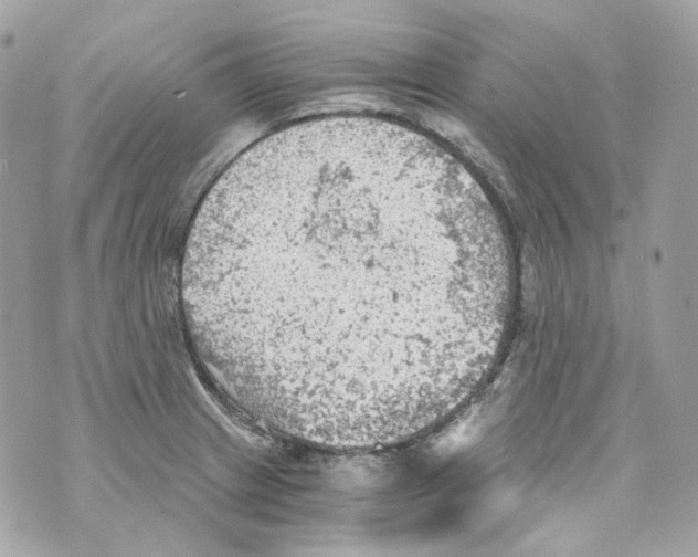 X0000069811233200606161841