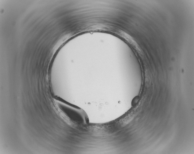 X0000069811234200606161841