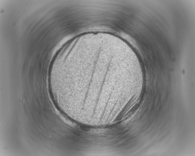 X0000069811237200606161841