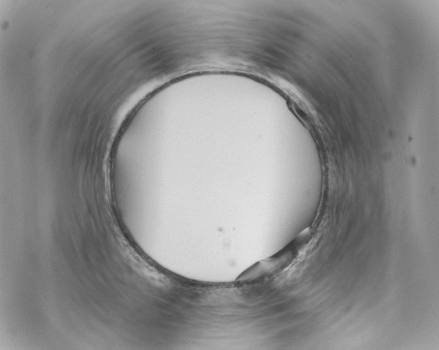 X0000069811238200606161841