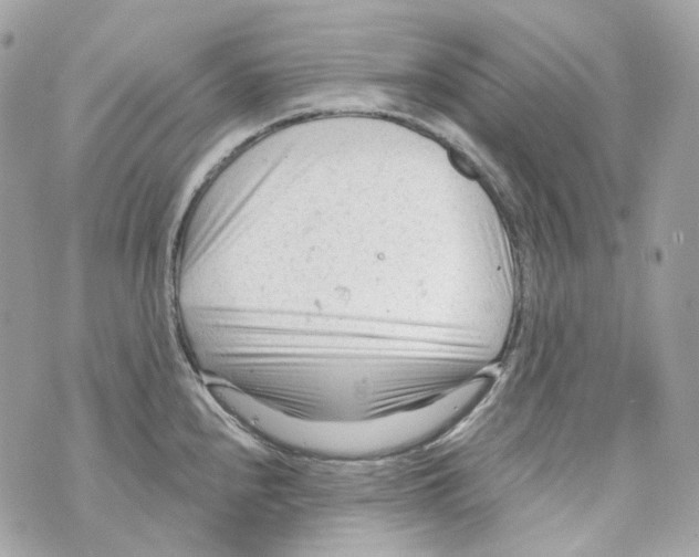 X0000069811240200606161841