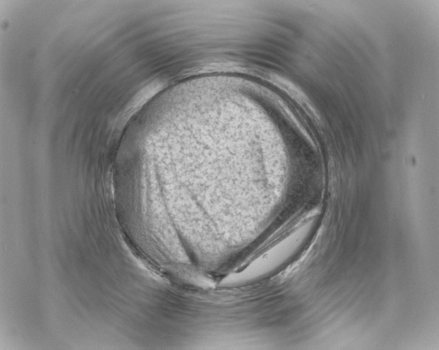 X0000069811241200606161841