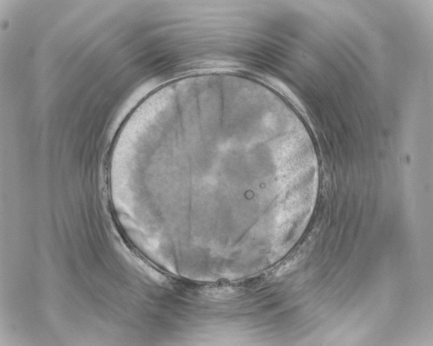 X0000069811243200606161841