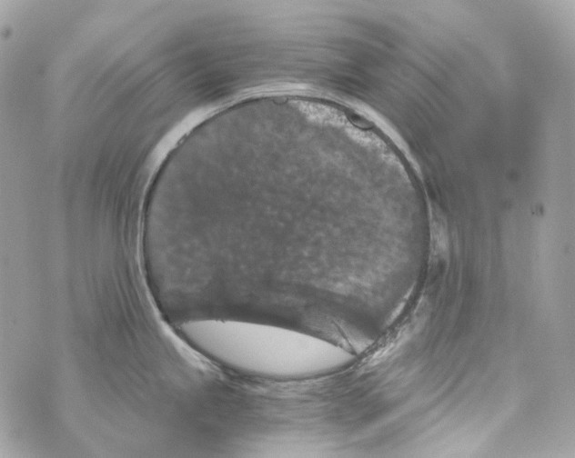 X0000069811245200606161841