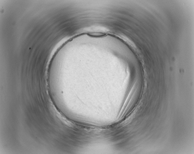 X0000069811248200606161841