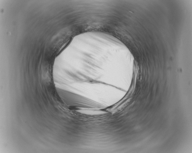 X0000069811250200606161840