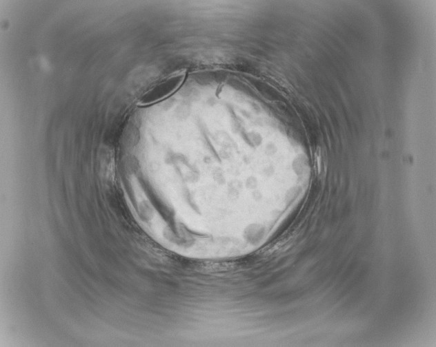 X0000069811251200606161840