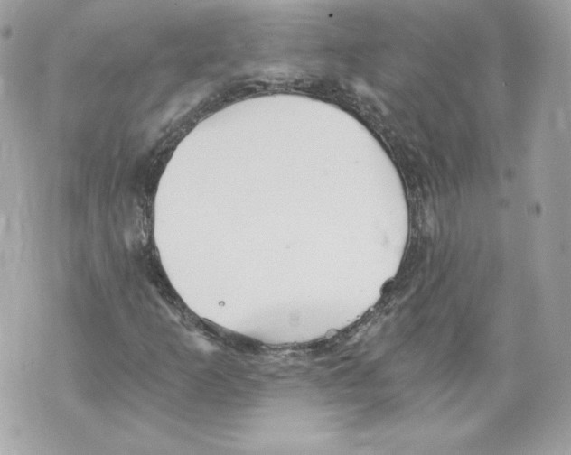 X0000069811253200606161840