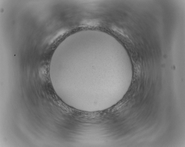 X0000069811254200606161840