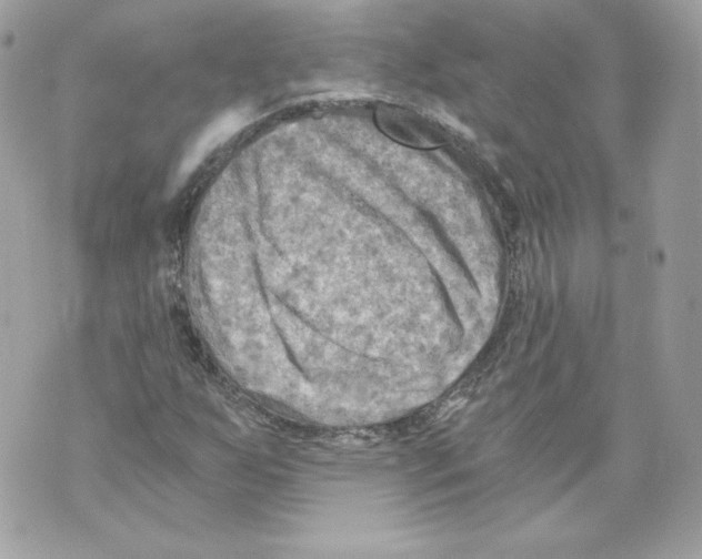 X0000069811255200606161840