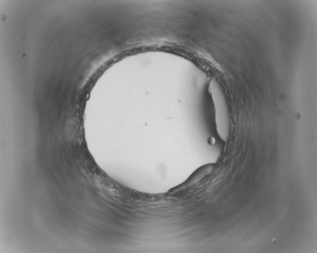 X0000069811256200606161840