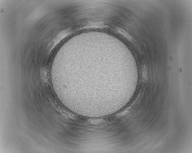 X0000069811258200606161840