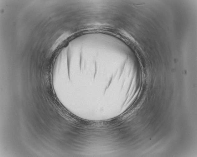 X0000069811259200606161840