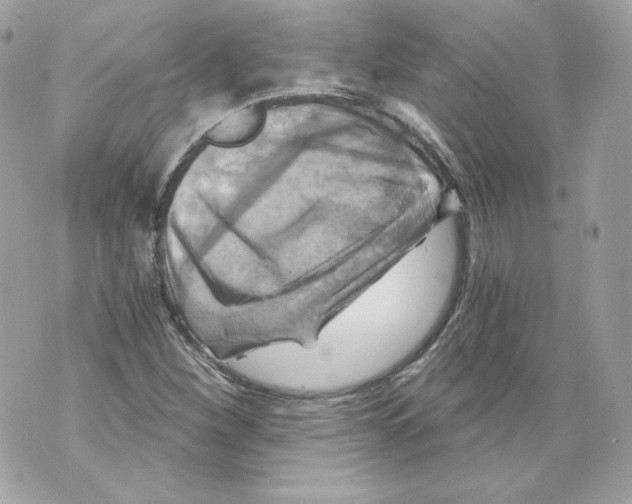 X0000069811260200606161840