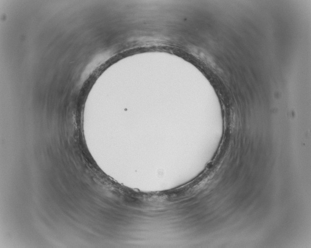 X0000069811261200606161840