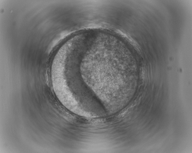 X0000069811262200606161840