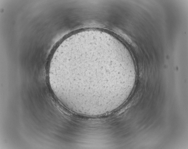 X0000069811264200606161840