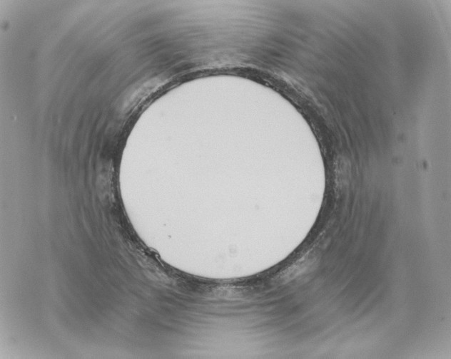 X0000069811265200606161840