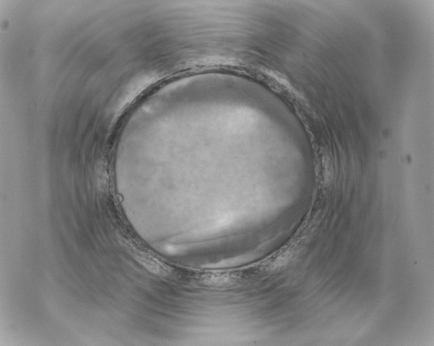 X0000069811266200606161840