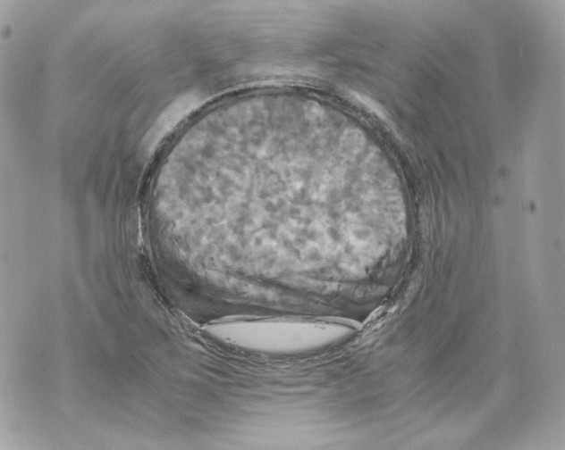 X0000069811267200606161840