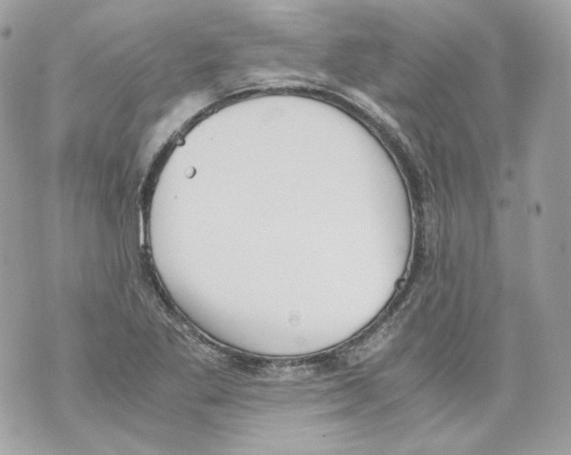 X0000069811269200606161840