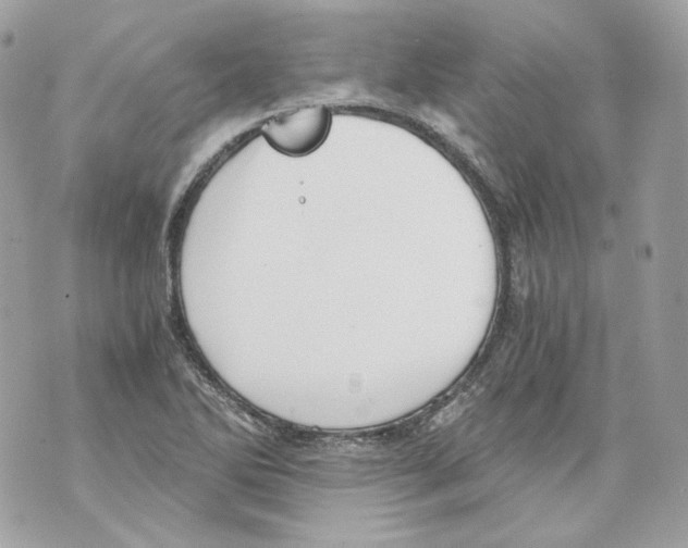 X0000069811270200606161840